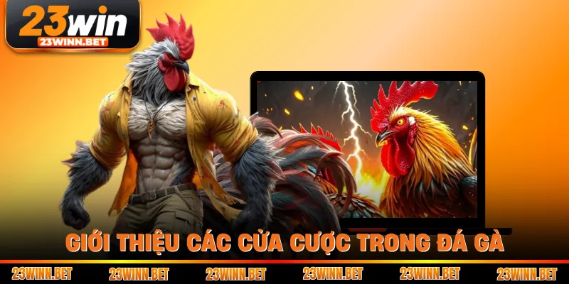 Giới thiệu các cửa cược trong đá gà